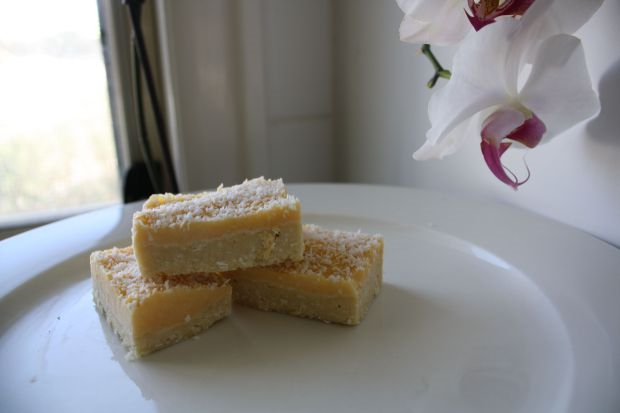 PALEO LEMON SLICE